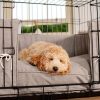 Dog Crate Bumper in Inchmurrin Ground by Lords & Labradors