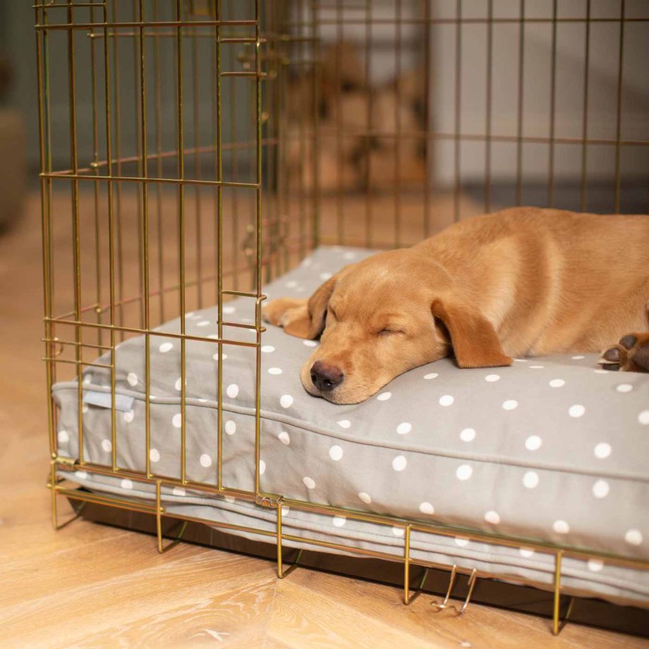 Dog Cushion in Grey Spot by Lords & Labradors