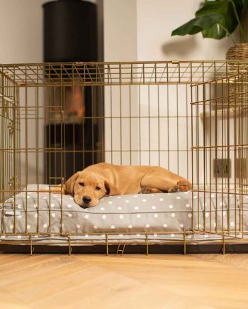 Dog Cushion in Grey Spot by Lords & Labradors