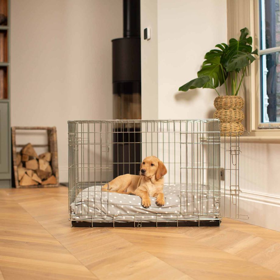 Dog Cushion in Grey Spot by Lords & Labradors