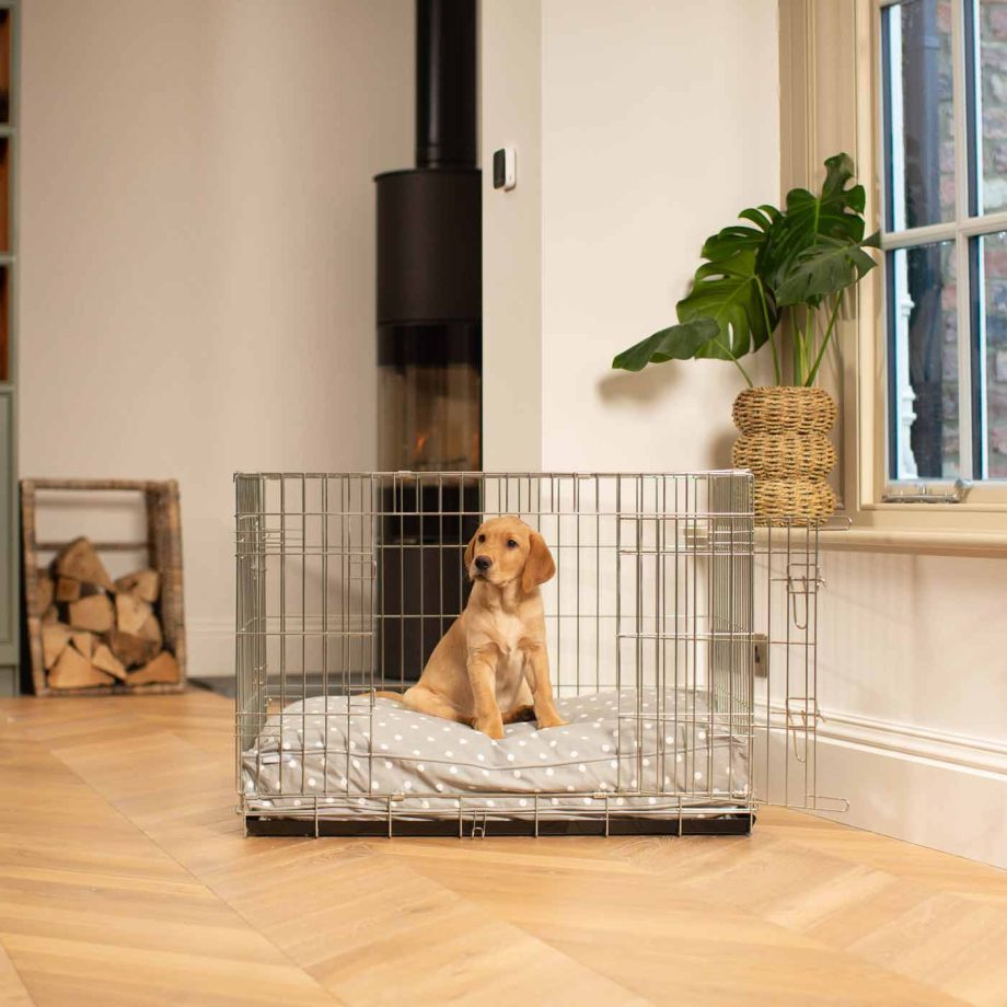 Dog Cushion in Grey Spot by Lords & Labradors