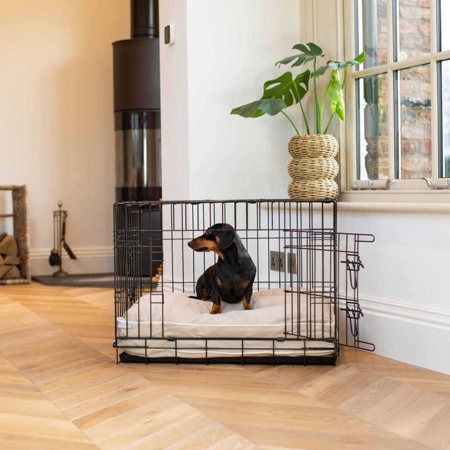 Dog Cushion in Savanna Oatmeal by Lords & Labradors