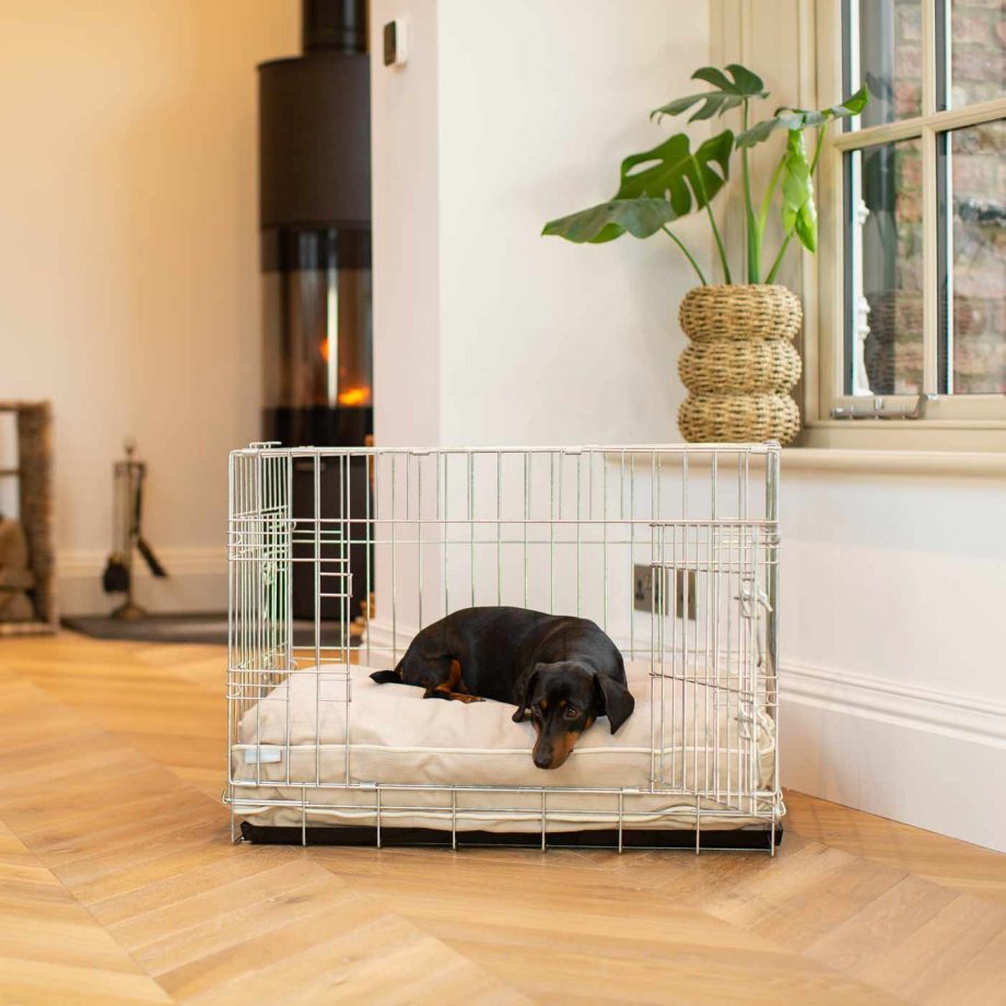 Dog Cushion in Savanna Oatmeal by Lords & Labradors