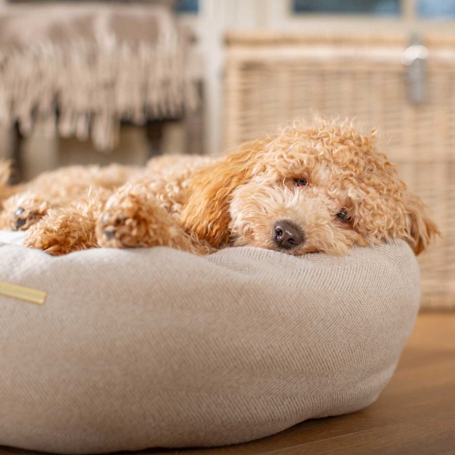 Donut Bed With Removable Covers in Natural Herringbone Tweed by Lords & Labradors