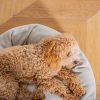 Donut Bed With Removable Covers in Natural Herringbone Tweed by Lords & Labradors