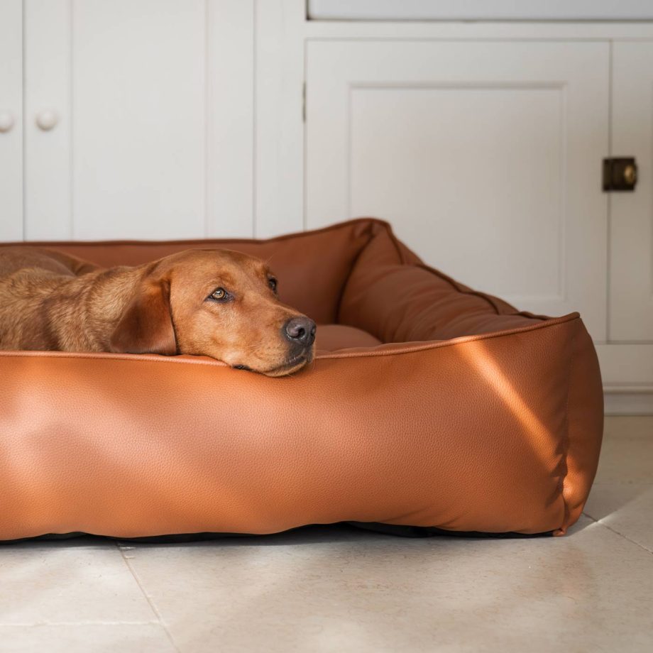 Box Bed With Removable Covers in Rhino Tough Ember Faux Leather by Lords & Labradors