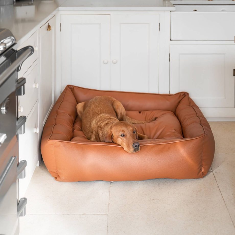 Box Bed With Removable Covers in Rhino Tough Ember Faux Leather by Lords & Labradors