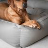 Box Bed With Removable Covers in Rhino Tough Camel Faux Leather by Lords & Labradors