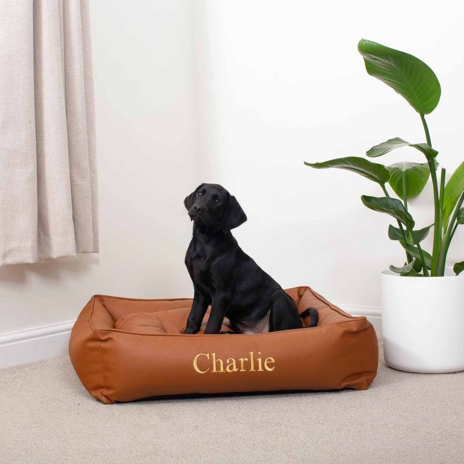 Box Bed With Removable Covers in Rhino Tough Ember Faux Leather by Lords & Labradors