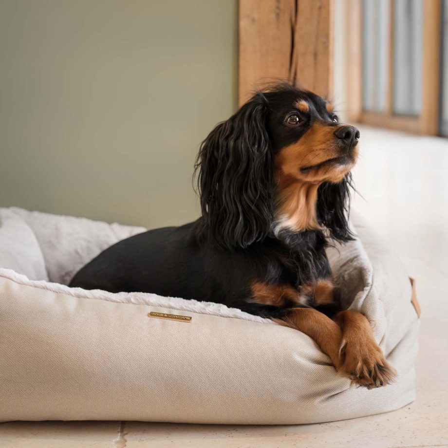 Essentials Twill Box Bed in Linen by Lords & Labradors
