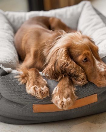 Essentials Twill Box Bed in Slate by Lords & Labradors