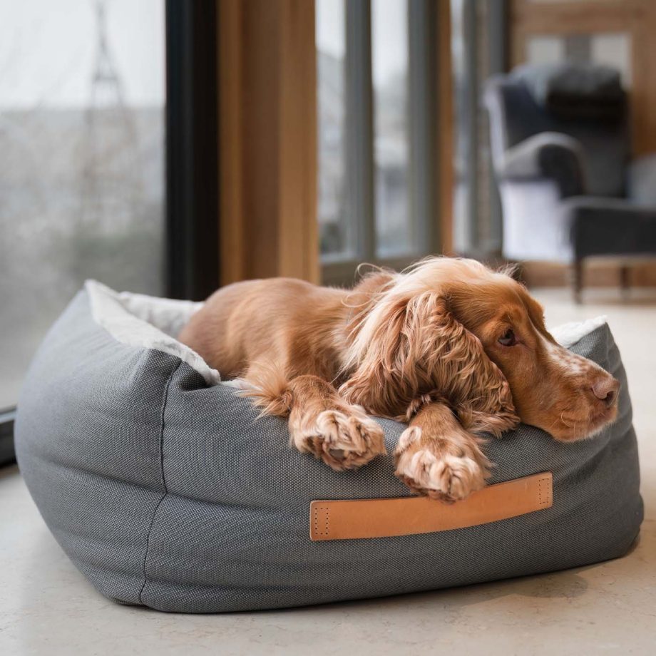 Essentials Twill Box Bed in Slate by Lords & Labradors