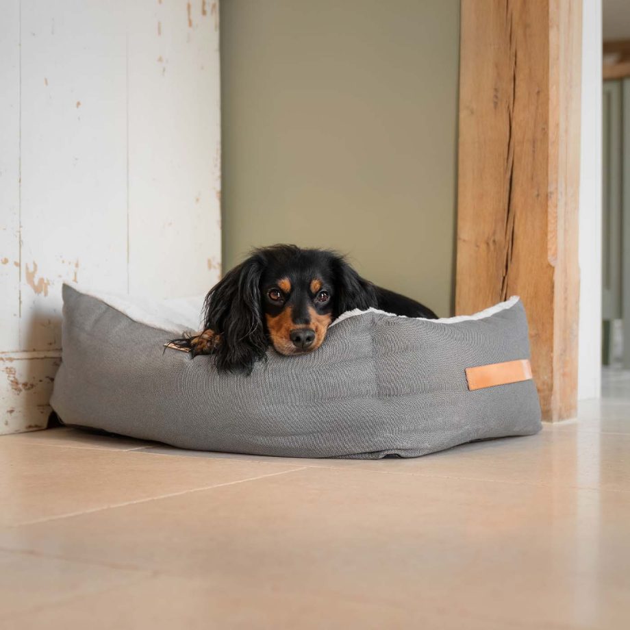 Essentials Twill Box Bed in Slate by Lords & Labradors