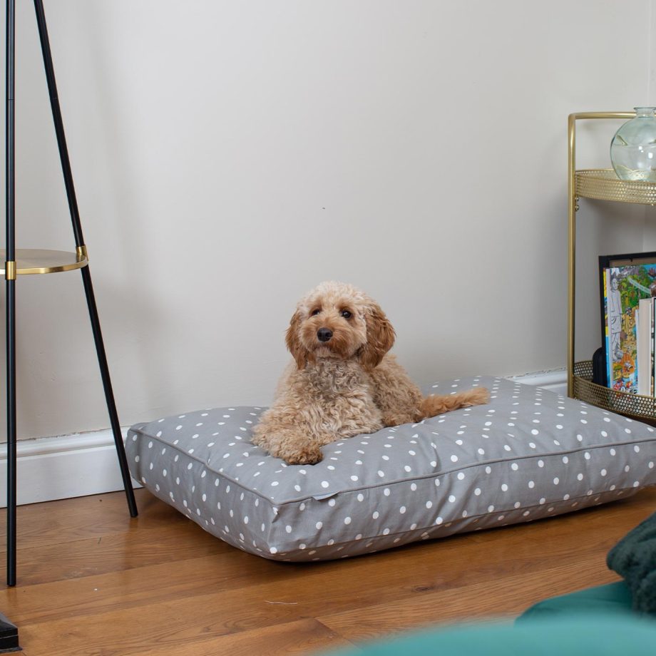 Dog Cushion in Grey Spot by Lords & Labradors