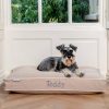 Dog Cushion in Savanna Oatmeal by Lords & Labradors
